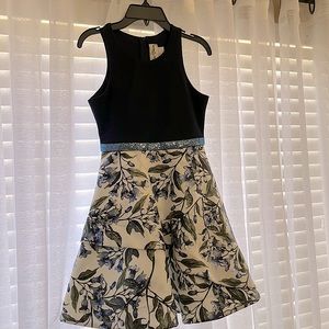 Beautiful Rare Editions Dress